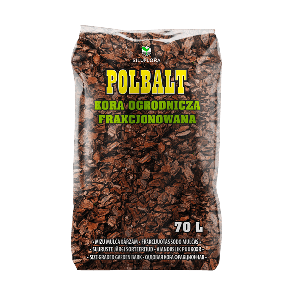 Kora iglasta POLBALT